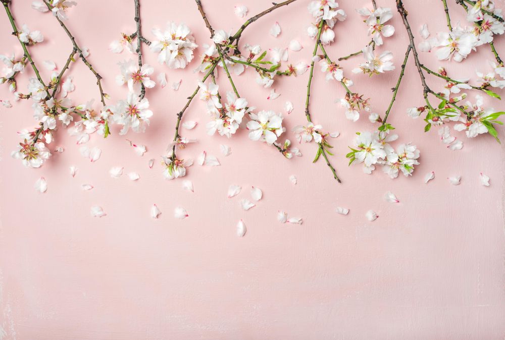 Spring Floral Background Wallpaper –