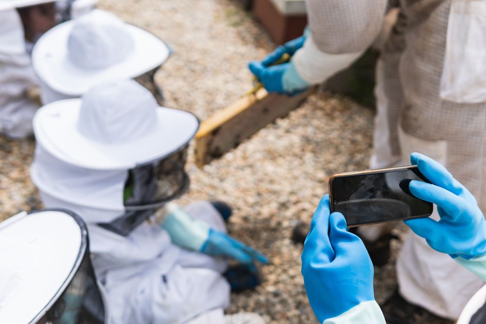 Crop beekeeper taking photo of children in apiary on smartphone