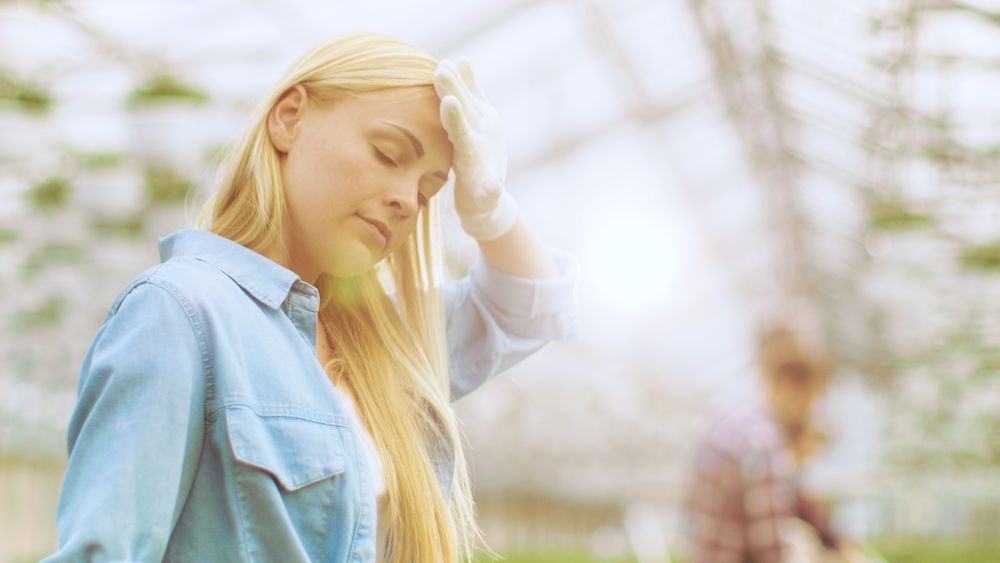 Female Gardener Wipes the Sweat from Her Forehead while Working with Plants in a Sunny Industrial Greenhouse.