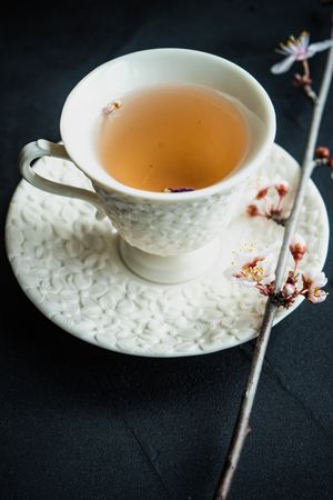 Cup and saucer of tea and pink blooming tree