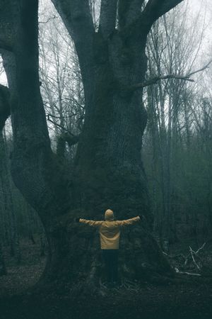Traveller standing beside old tree covered by moss