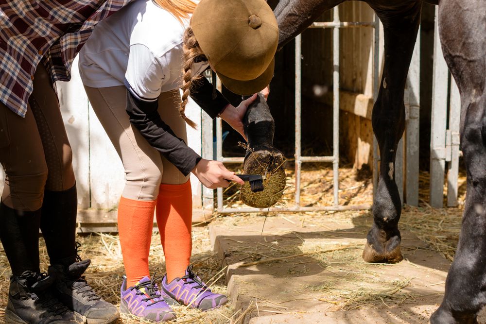 Girl cleans horse's hoof while instructor assists.