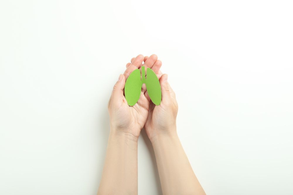 Small green lungs being held in hands