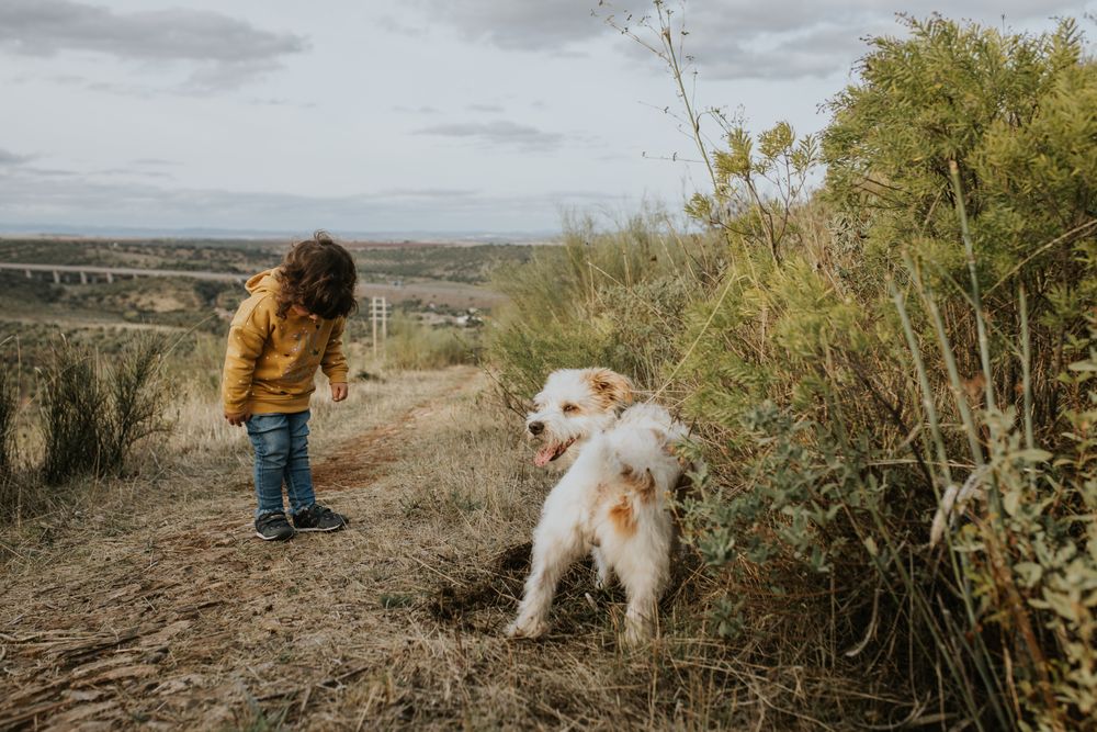 Girl and dog on a walking trail