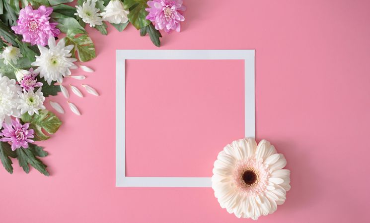 Flowers with light  frame on pink background