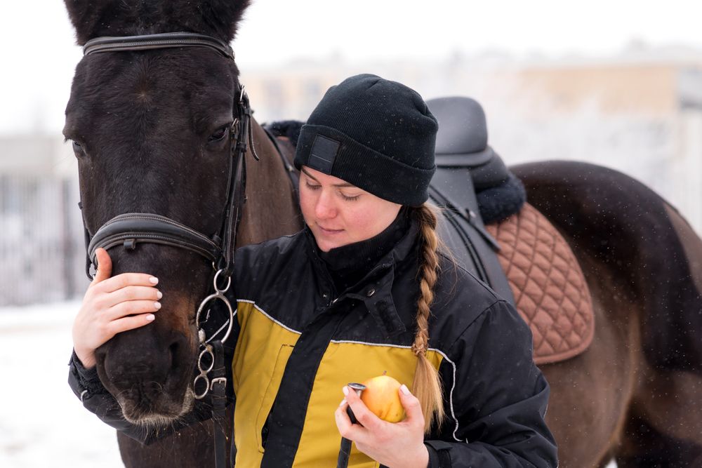 Person caressing horse's head with apple in hand.