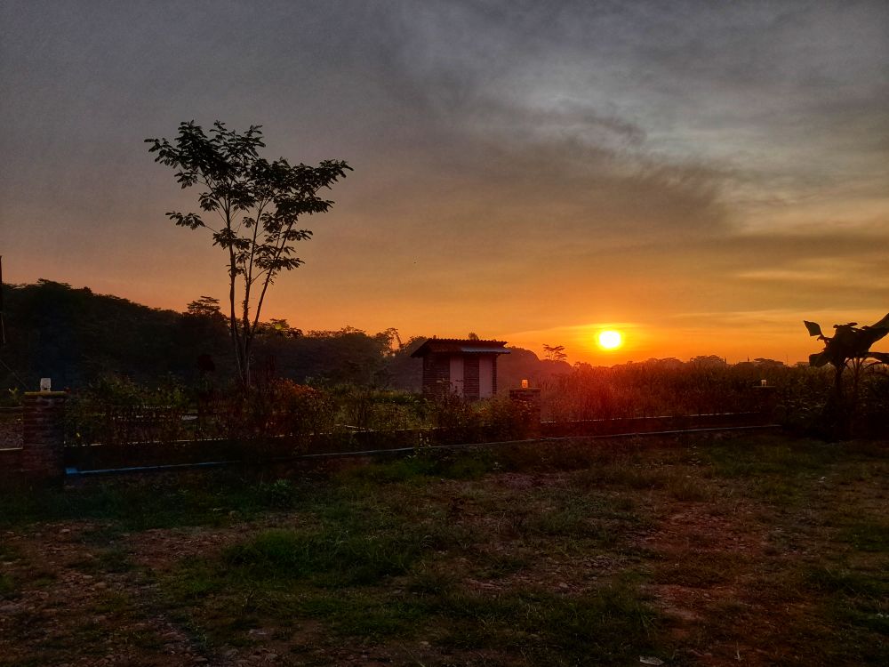 The sun rise can be seen from the garden behind the house