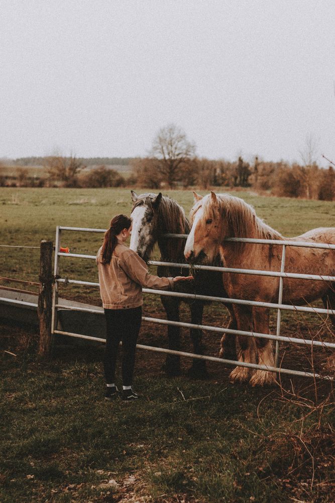 Back view of woman standing beside two horses