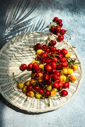 Summer cherries with palm leaves