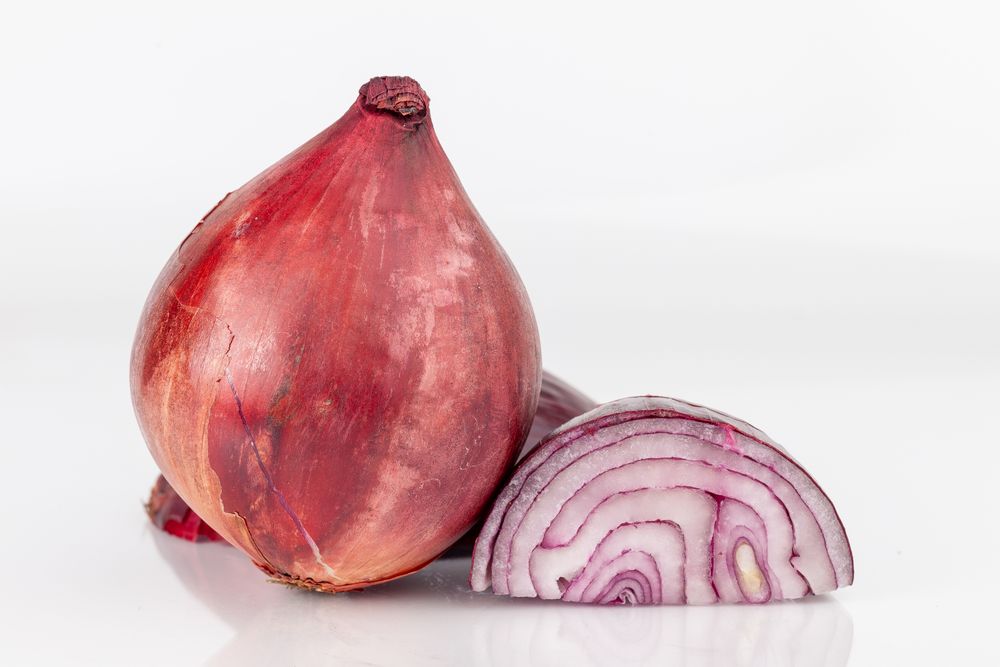 Onion On Plain Background