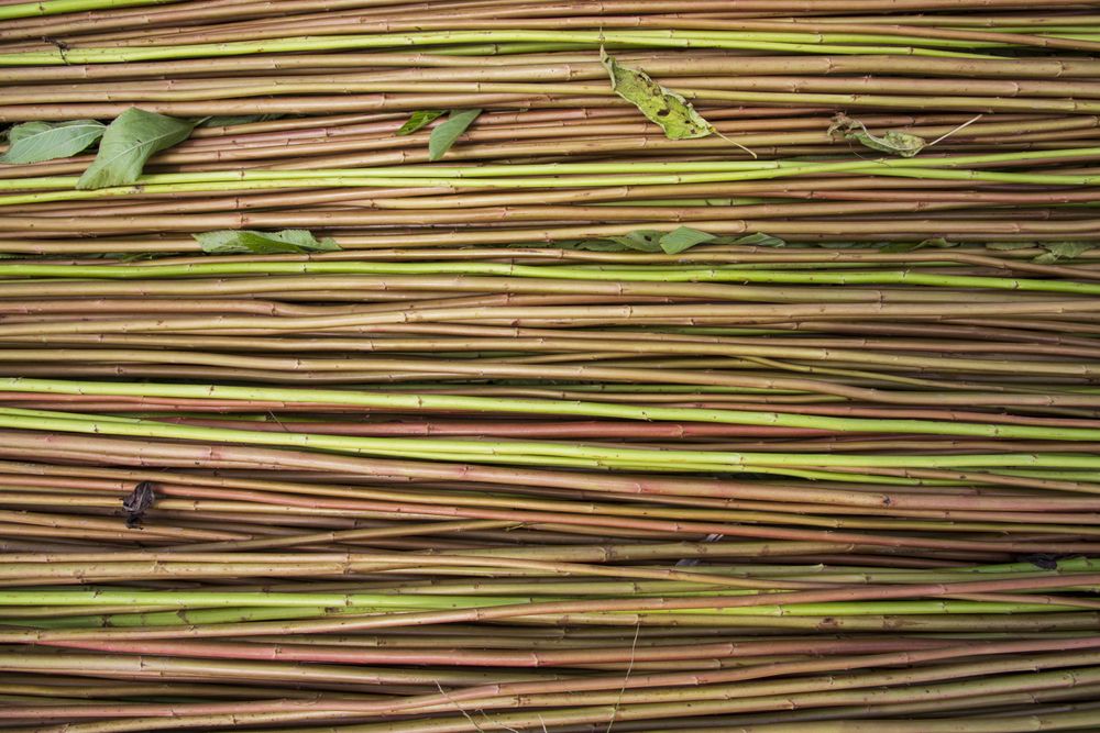 Red Green Raw Jute Texture background. This is the Called Golden Fiber in Bangladesh
