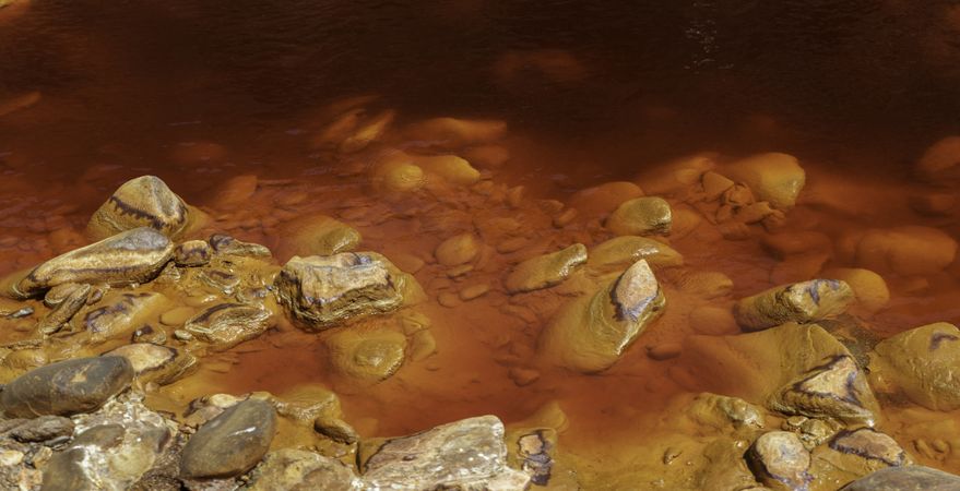 Bright orange splashes in nature