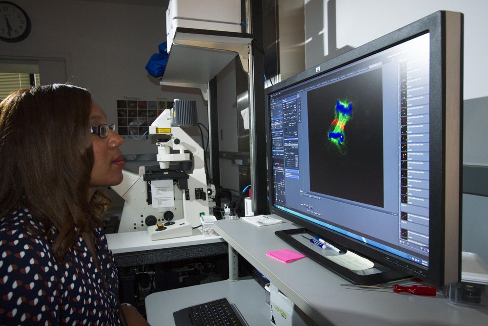 Bethesda, MD - USA,  Sept 2014: Female scientist at the computer analyzing cells