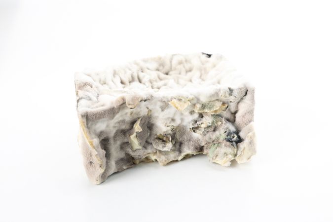 Food with mold, isolated on light background
