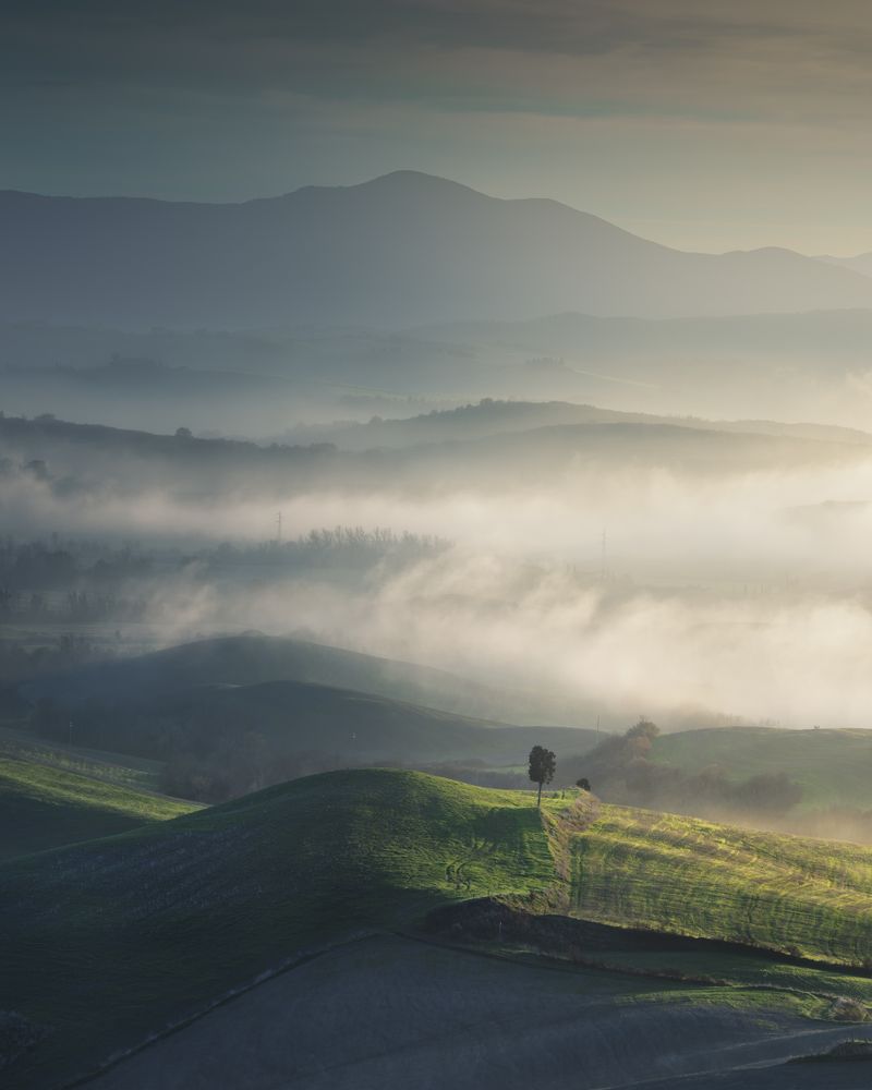 Foggy landscape in Volterra and a lonely tree. Tuscany, Italy