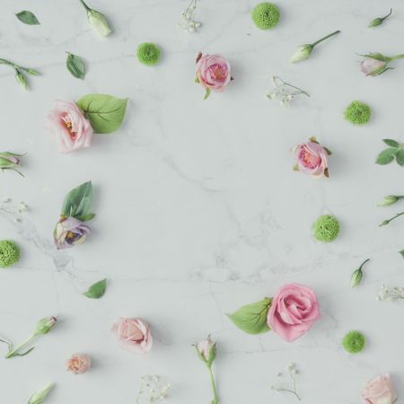 Pink flowers and leaves on marble background