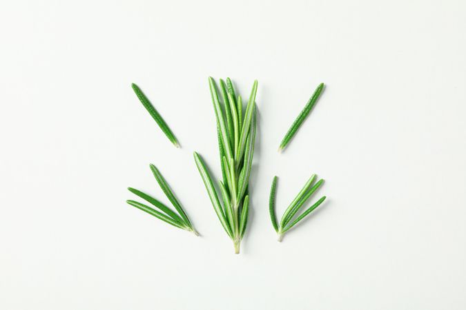Flat lay composition with rosemary on neutral background, space for text