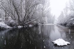 River streaming between snow forest
