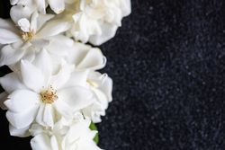 Frame with rose flowers