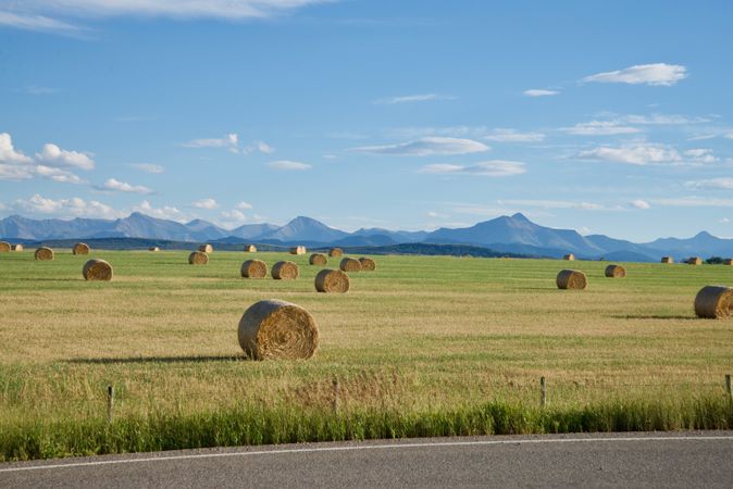 hay rolls