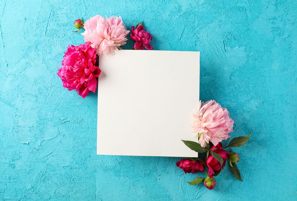 Beautiful peonies and empty paper square on color background, space for text