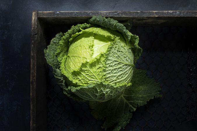 Green savoy in box