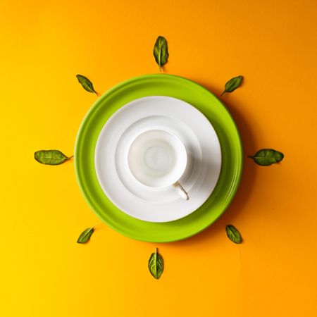 Empty tea cup with green leaves  on orange background