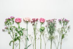 Floral background with various flowers with pink and purple petals and green leaves