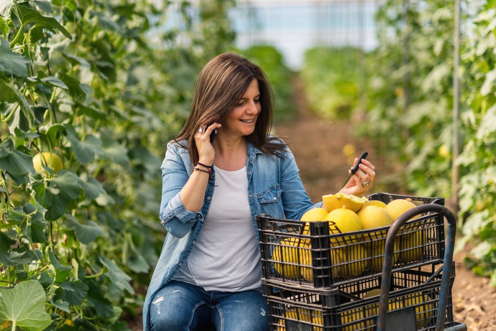 Farmer using smartphone while working in greenhouse