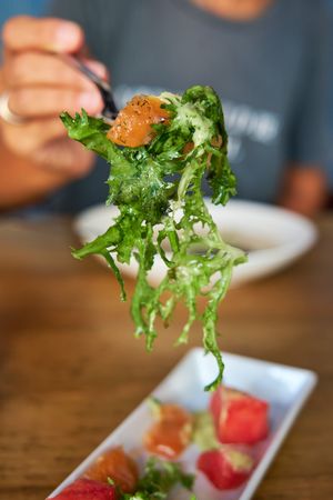 Vertical photo of a person holding some salmon salad with a fork
