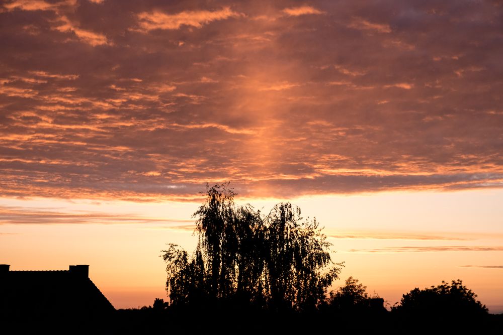 Orange golden sky over rooftops & trees