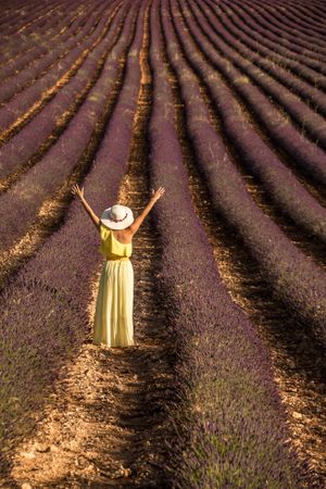 Woman with outstretched arms standing in lavender field