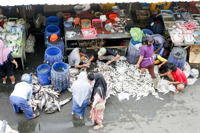 Buyers sorting fish in Indonesian street market