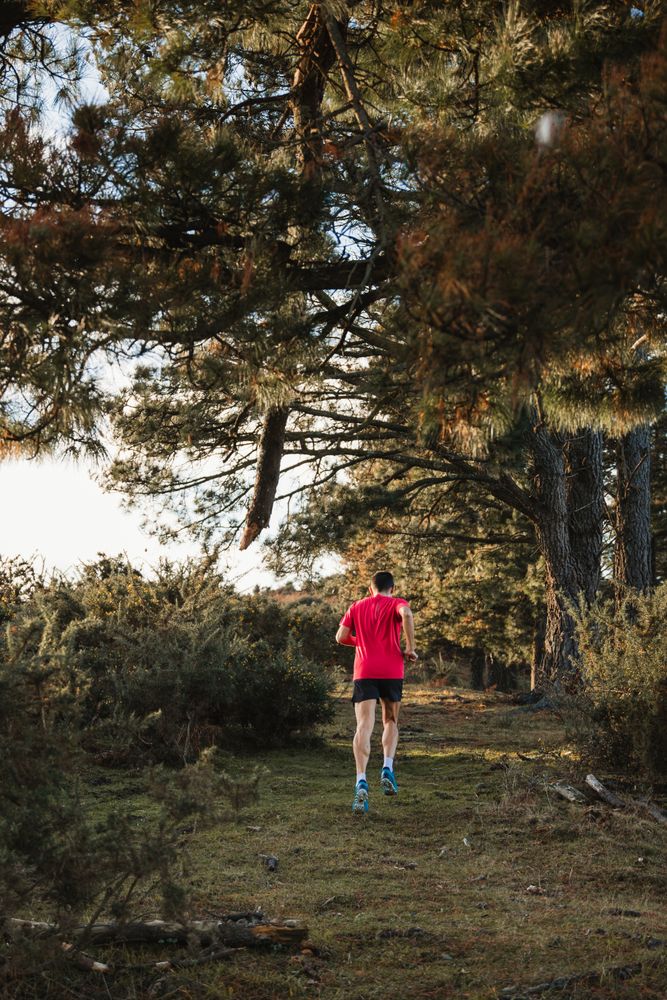 Sportsman running on countryside