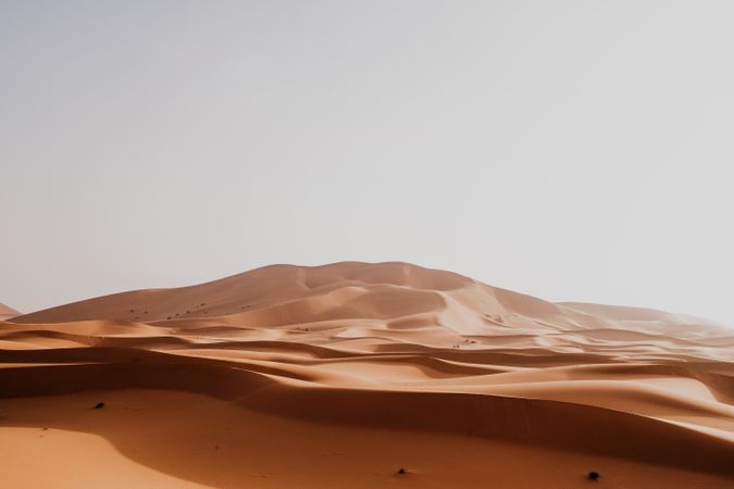 Sandy dune in arid desert