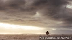 Woman riding with her stallion on the beach in evening 5rEOM0