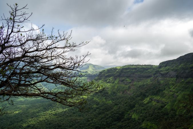 Beautiful trees, hills, and valleys as viewed at Malshej Ghat in Maharashtra, India