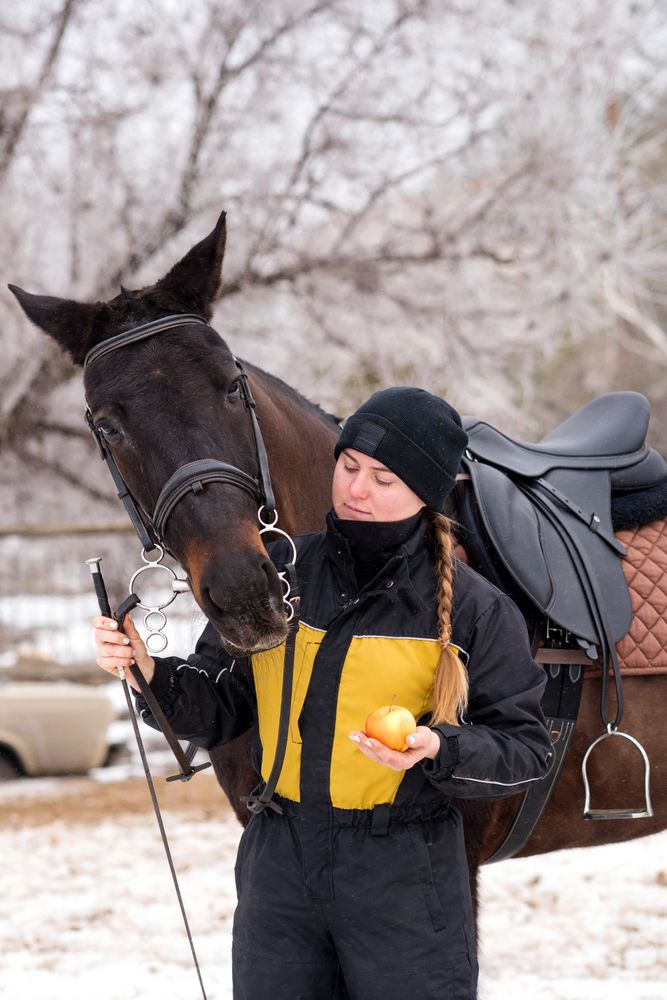 Person caressing horse's head with apple in hand.