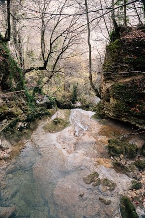 Pond in autumn day