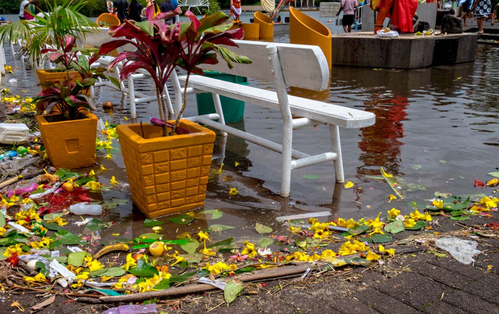 Offerings of fruit and flowers by lake of Hindu holy site