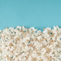 Flowers on blue background