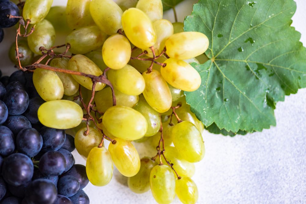 Close up of fresh red & green grapes on counter