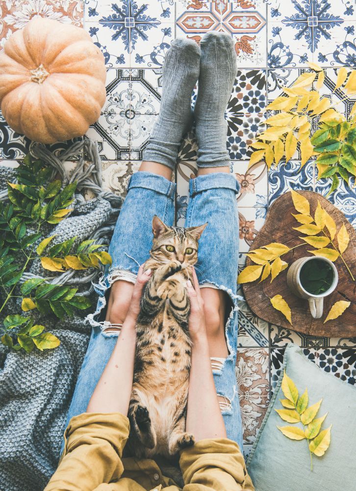 Woman with cat on lap sitting on colorfully tiled balcony with fall leaves, squash, and mug