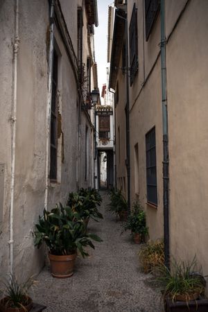 Ancient cobblestone narrow street with plants