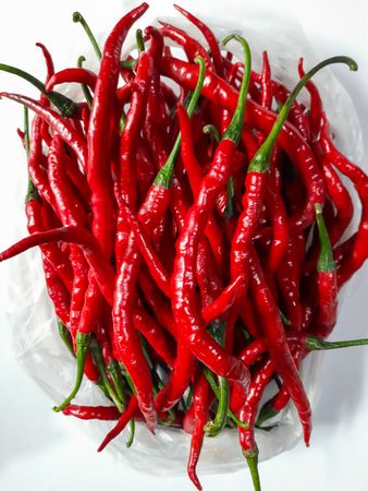 Fresh Red Chili Peppers on Blank Background