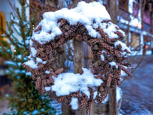 Snow-covered pinecone Christmas wreath
