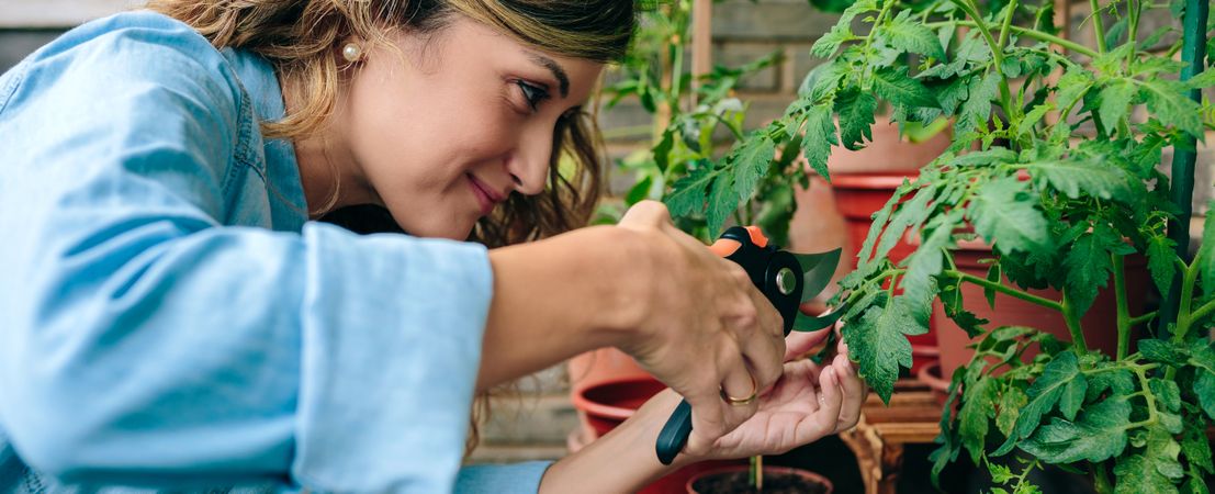 Portrait of woman gardener using pruning shear to trim plant leaves of urban garden on terrace