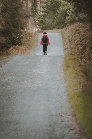 Tourist walking on footpath in forest park