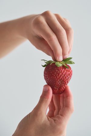 Unrecognizable person demonstrating fresh red strawberry