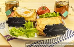 Special french sandwiches for men and women 0L21D4